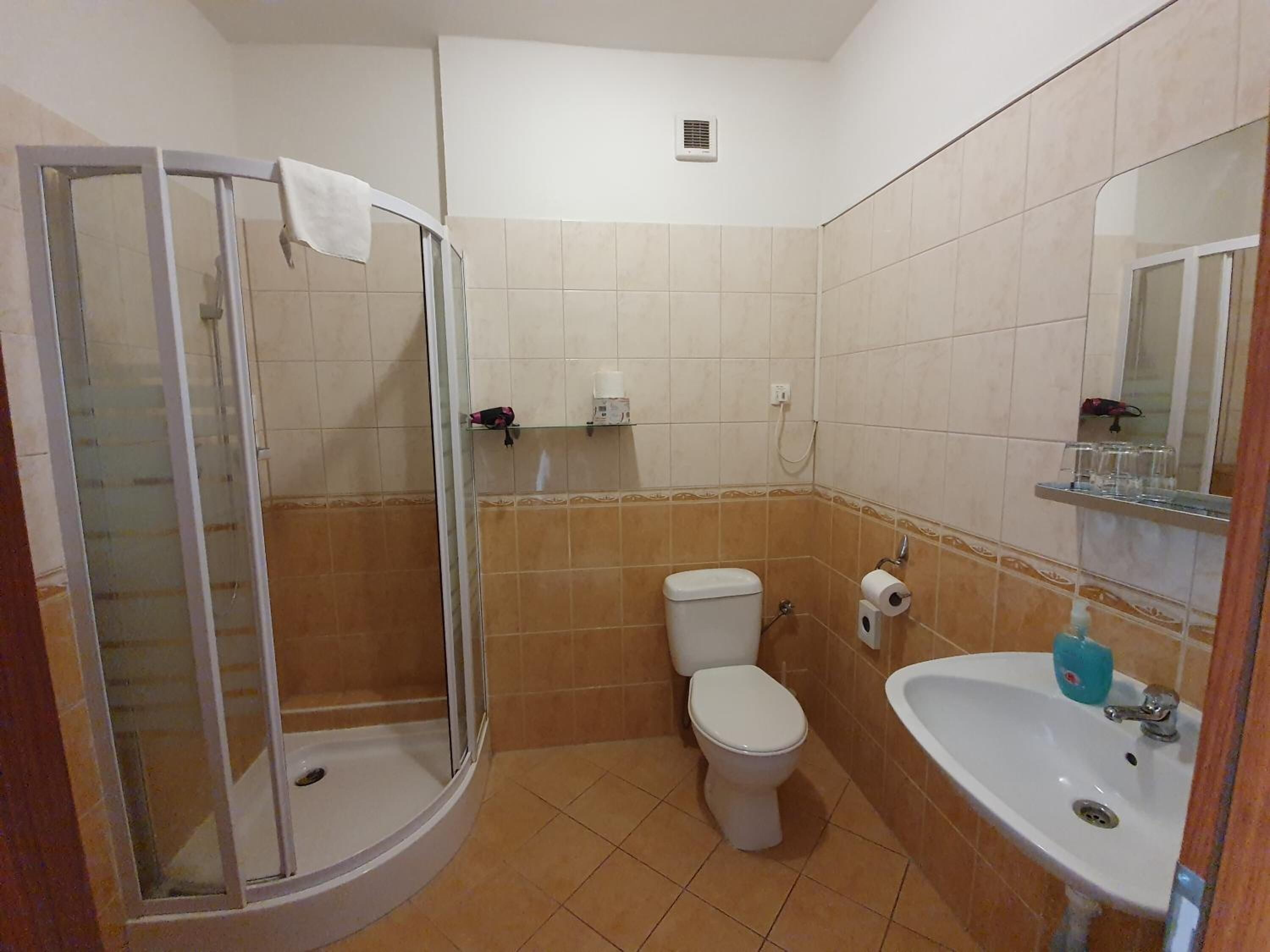 A bathroom with a glass-enclosed shower, a toilet, and a sink with a mirror.