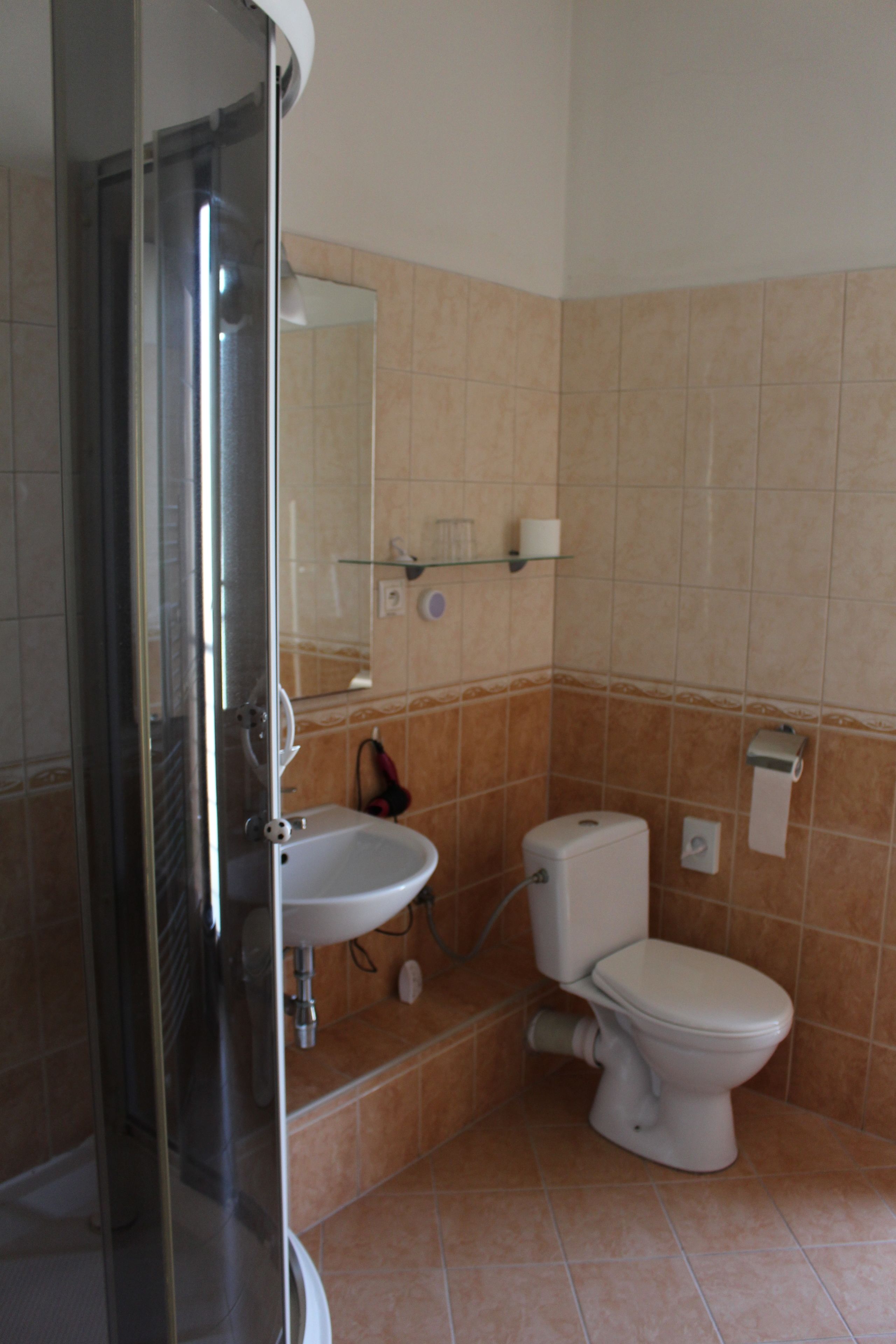 A bathroom with a glass shower enclosure, a sink, a toilet, and a mirror.
