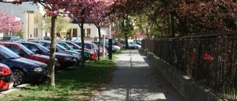 Un camino pavimentado bordeado de cerezos y coches aparcados.