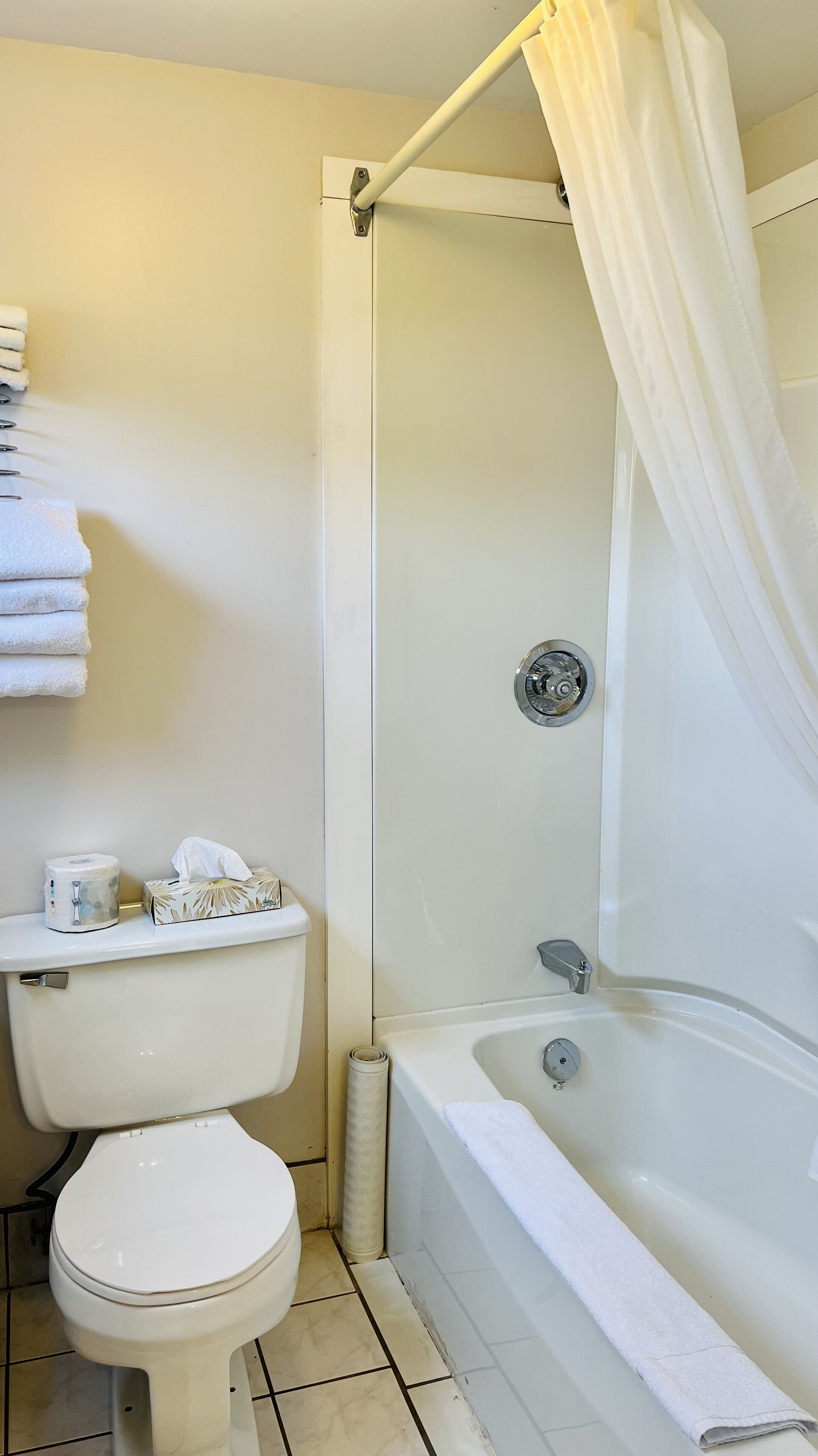 A bathroom with a toilet, a bathtub, and a shower curtain.