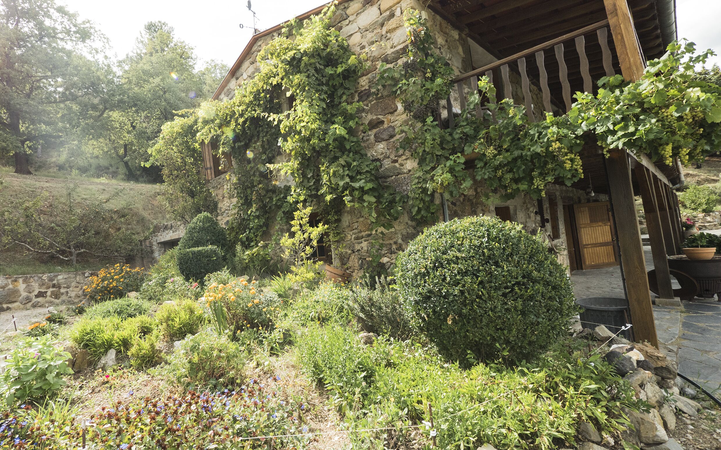 Jardines del alojamiento