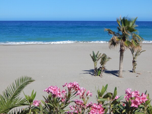 Beach nearby, beach towels