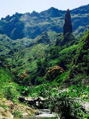 Unclassified image, 2 of 15, button