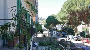 Uitzicht vanuit accommodatie