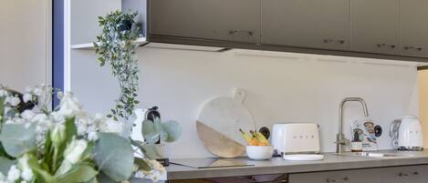 Fridge, stovetop, dishwasher, electric kettle