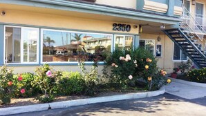 A building with the number 2350 on the facade, a window reflecting a building, and a small garden with flowers. - Victoria Motel (Ventura)