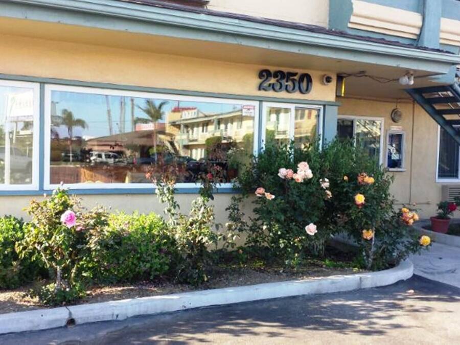 A building with the number 2350 on the facade, a window reflecting a building, and a small garden with flowers.
