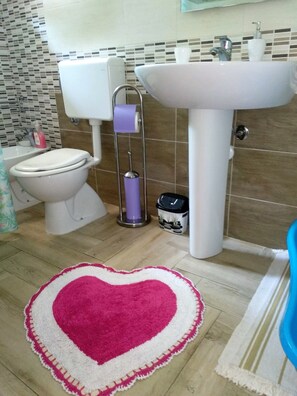 Shower, hair dryer, bidet, towels