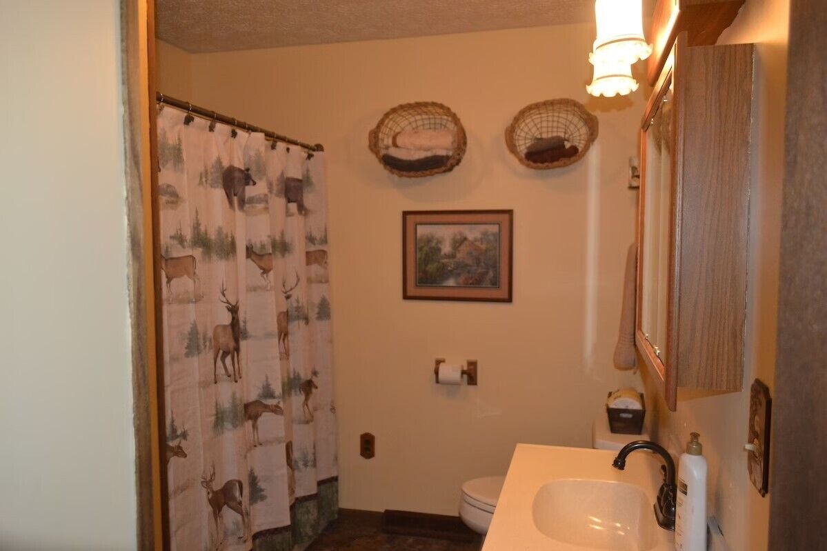 A bathroom with a deer-patterned shower curtain, a framed picture on the wall, and a wooden cabinet above the sink.