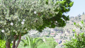 Un sentier bordé d’une végétation luxuriante et de fleurs aux couleurs vives, qui mène vers une colline où l’on aperçoit des bâtiments au loin.