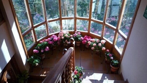 A corner room with large windows and a wooden staircase.