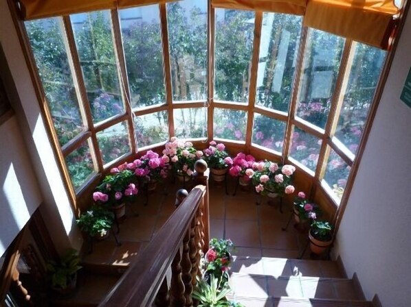 Interior - "Ideal for families" - Spend 2 nights for € 560. From March 21 to April 2, 2019 (Alocén)