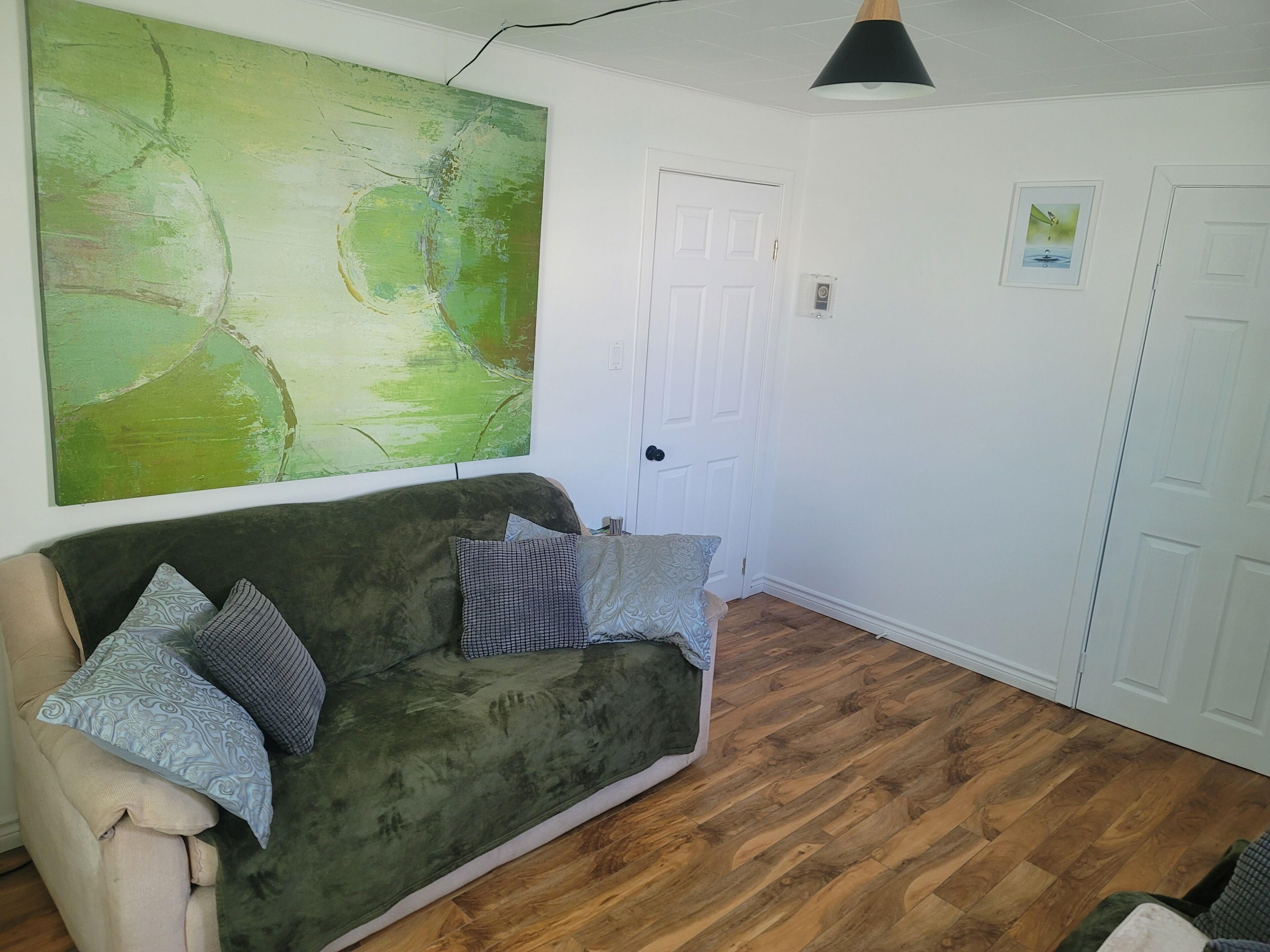 Une pièce avec un canapé vert, une porte blanche et un plancher en bois.