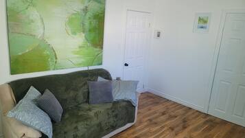 Une pièce avec un canapé vert, une porte blanche et un plancher en bois.