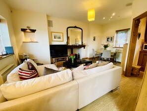 Smart TV, chimenea, reproductor de DVD y libros 