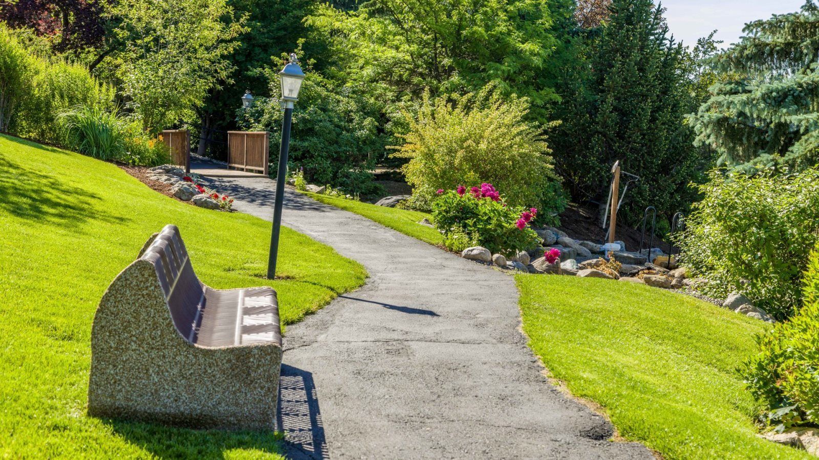 A paved pathway leading through a landscaped garden with a stone bench and a wooden fence in the background.