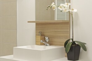 Sèche-cheveux, serviettes fournies, savon, papier toilette