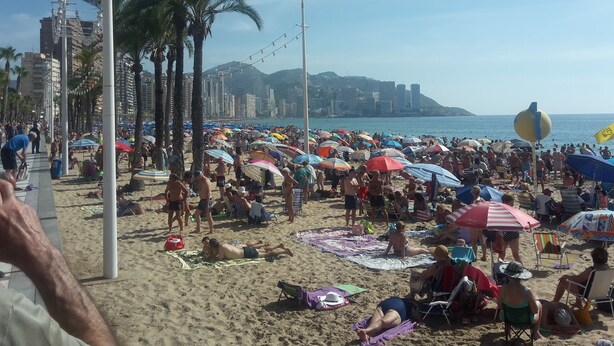 A crowded beach with people sunbathing and walking, umbrellas, and palm trees.