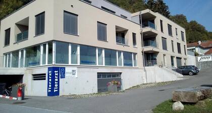 élégant appartement de 1,5 piÚces dans un immeuble calme