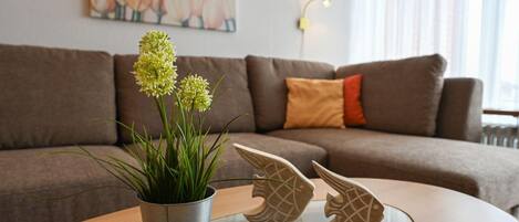 TV, DVD player, ping pong, stereo