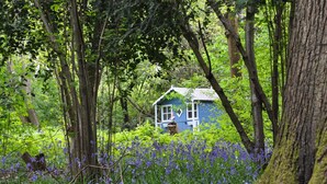 A house surrounded by dense forest and wildflowers.