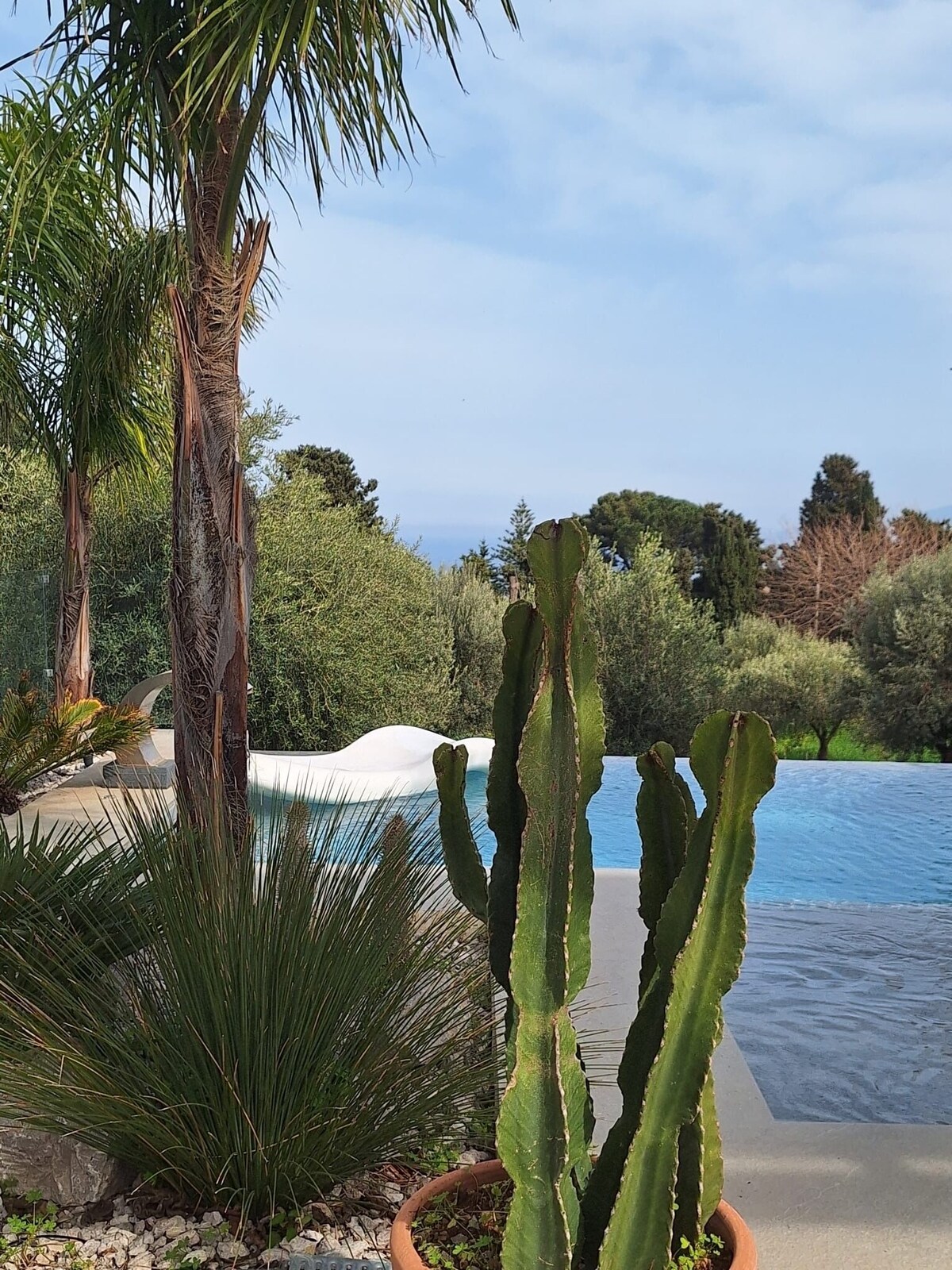 Imagem do perfil do anfitrião