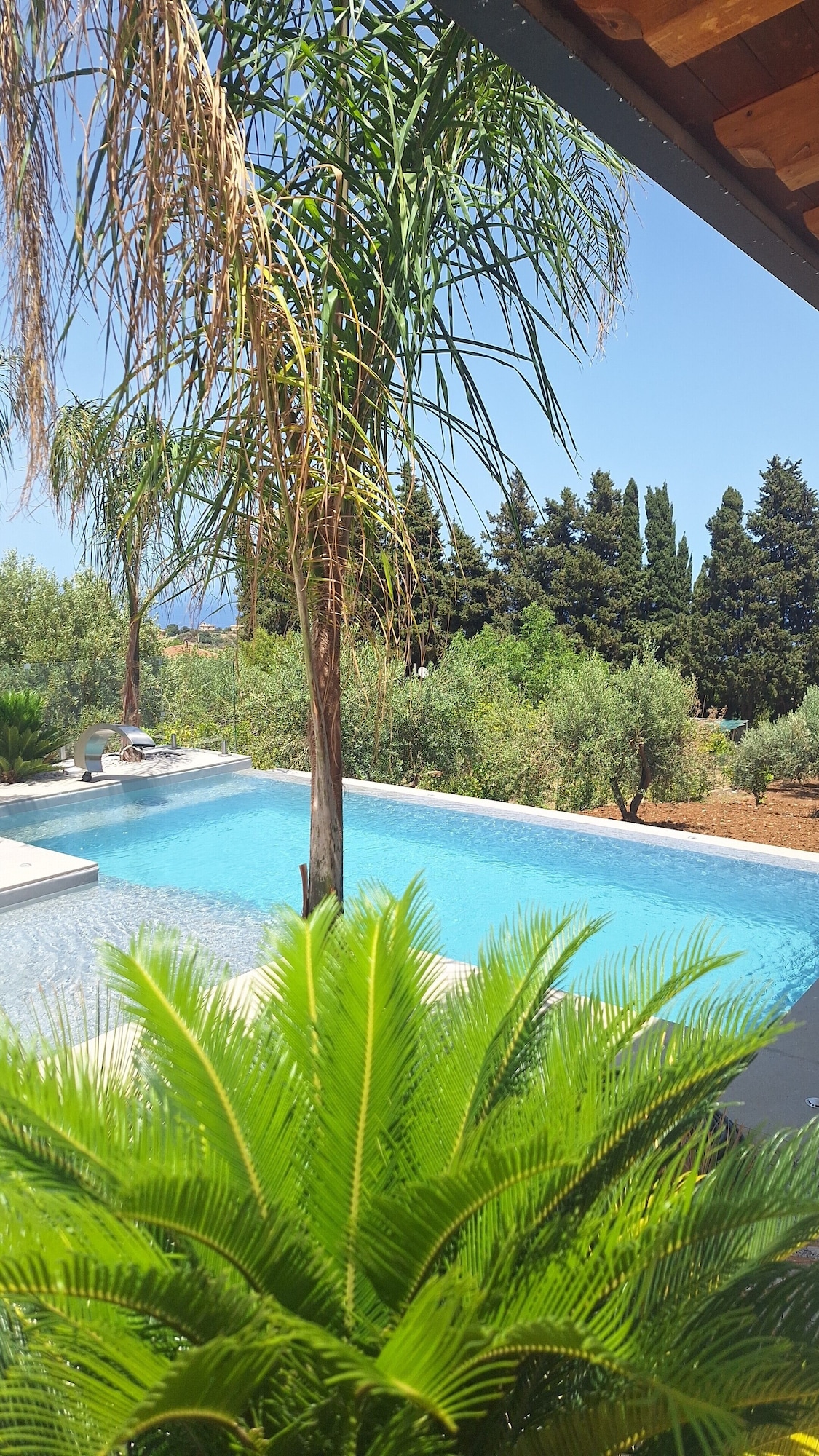 オーナーのプロフィール画像