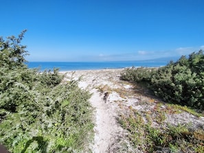 Nära stranden, solstolar och strandhanddukar