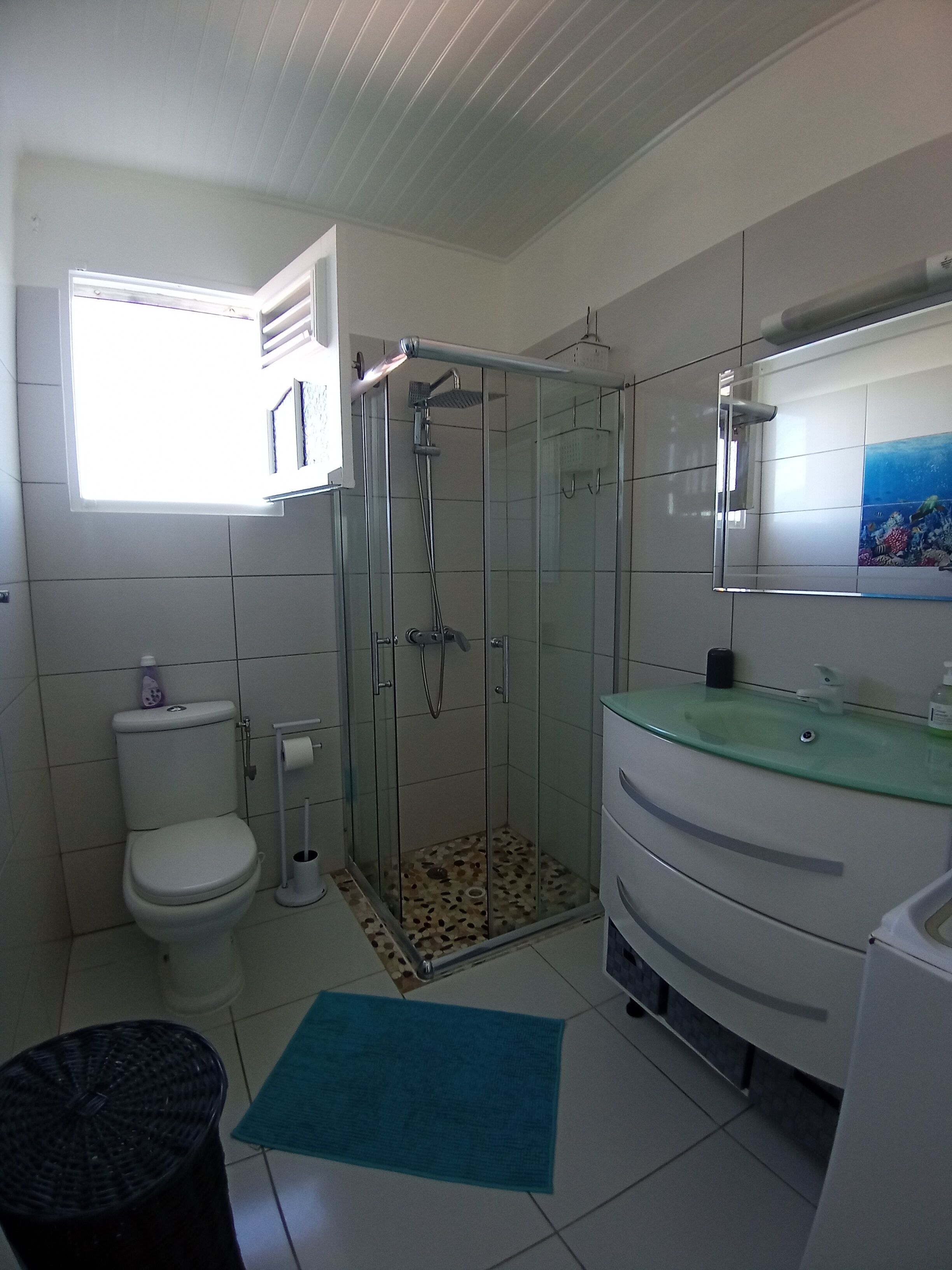 Douche, sèche-cheveux, serviettes fournies, papier toilette