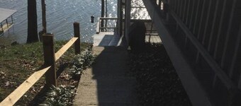 Dock on lake and our 750 sq ft cottage home at Kentucky Lake