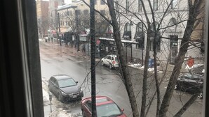 Vista a través de una ventana que muestra una calle con coches estacionados, un árbol y edificios al fondo.
