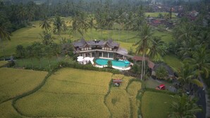 Una casa grande con piscina, rodeada de abundante vegetación y palmeras.