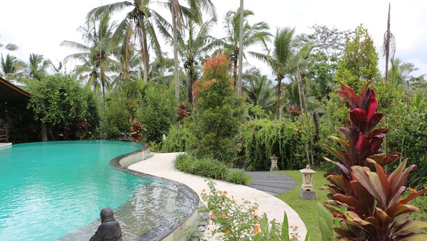 Una piscina rodeada de exuberante vegetación y palmeras.