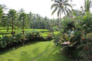 Property grounds - A Calm & Beautiful 3 Bedrooms Villa in Ubud (Ubud)