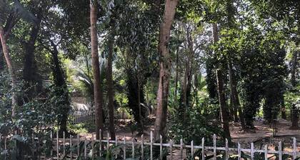 Ayuryogashram Heritage