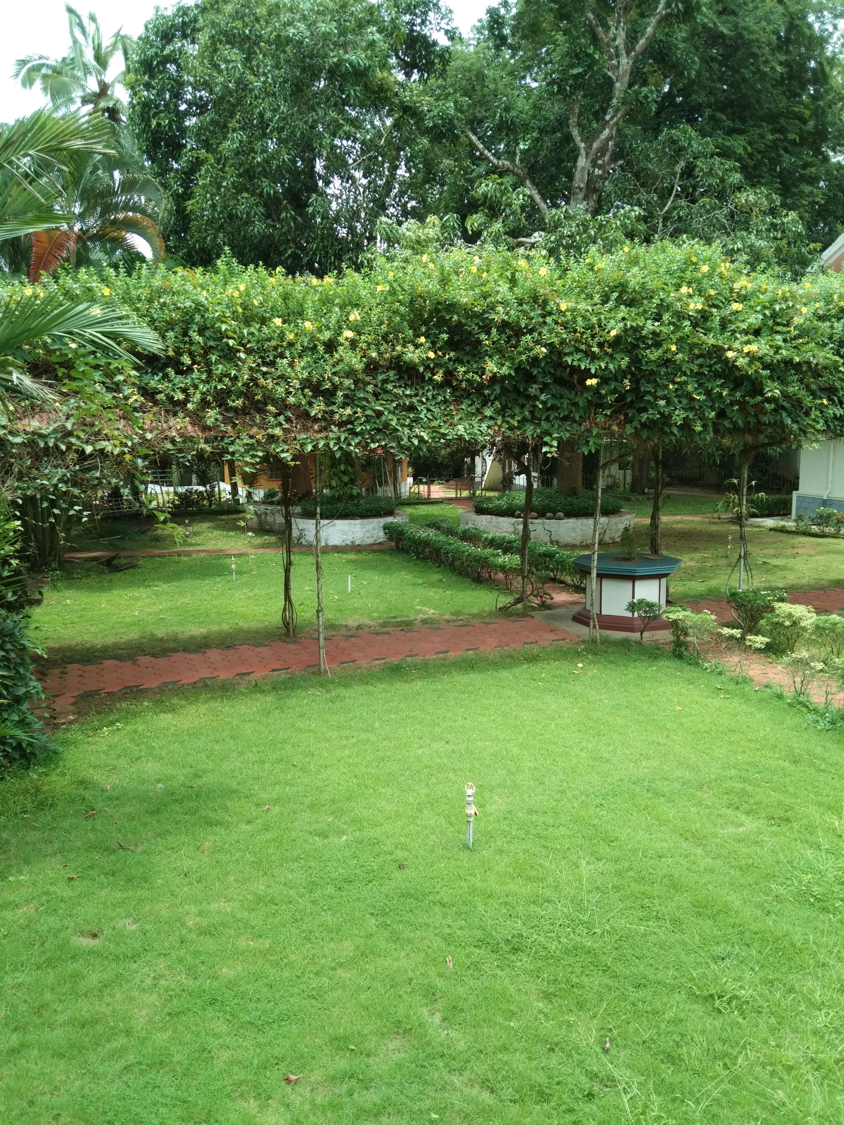 Un jardin luxuriant, avec une grande variété d’arbres et d’arbustes, une pelouse bien entretenue et une petite construction en arrière-plan.