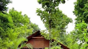 Una casa de madera tradicional con un porche de tejas, rodeada de abundante follaje y un sendero de piedra.