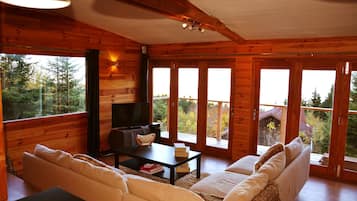 Fernseher, Stereoanlage