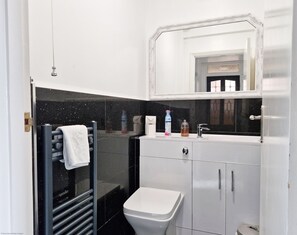 Shower, hair dryer