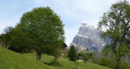 Grand chalet, lumineux, trÚs propre et trÚs bien équipé classement 3 étoiles