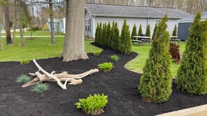 Un jardin aménagé avec un arbre, de jeunes plantes et un banc en bois.