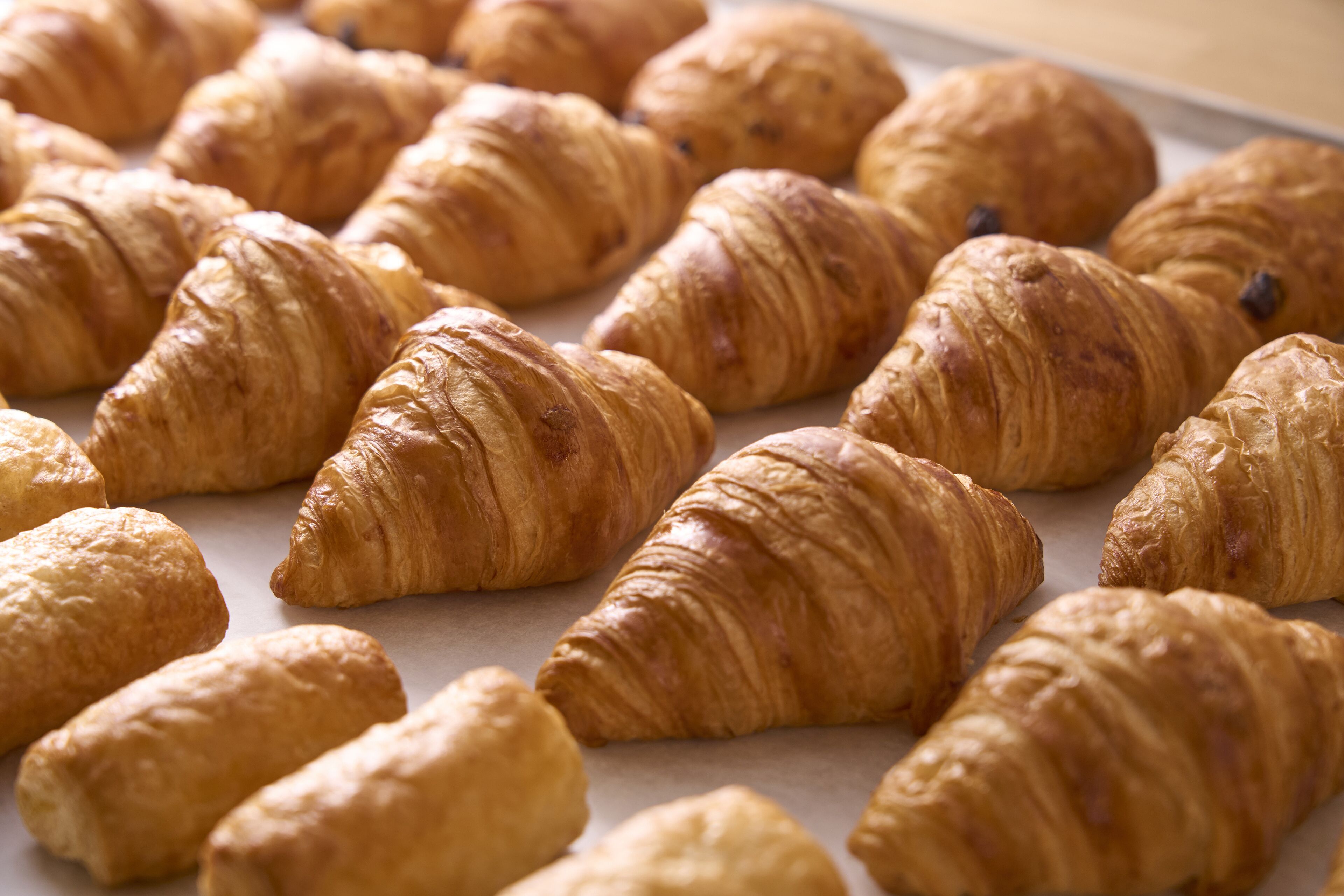 Foto - Hotel Axia Inn Sapporo Susukino