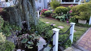 Un jardín con un estanque, rodeado de diversas plantas y flores.