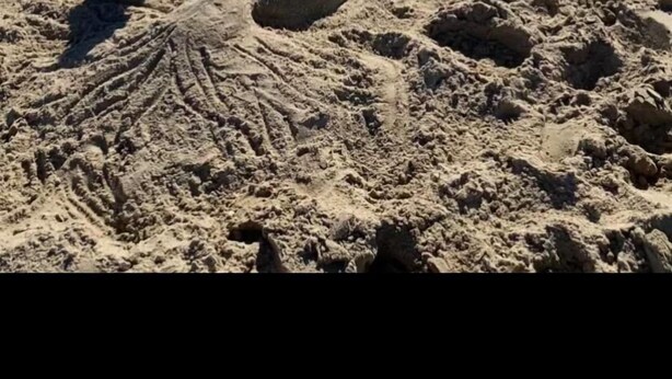 Ein sandiger Strand mit Fußabdrücken und einer Sandskulptur eines Meeresbewohners.