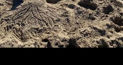 Oceanfront 10 bdrm 5 kitchen. Rent 6 bdrm Main House @ base price or add casitas