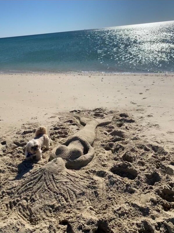 A sandy beach with footprints and a sand sculpture of a sea creature.