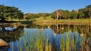 Garden - San Lameer Villa Rentals 5916 (Southbroom)