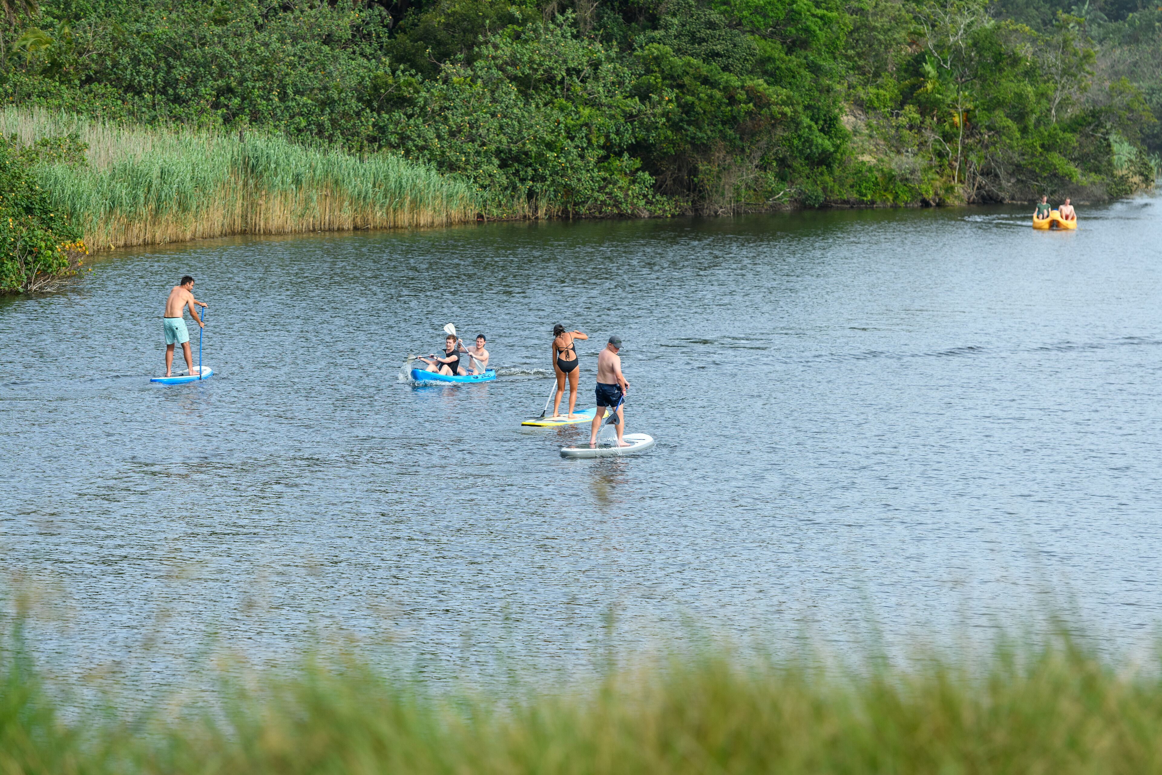 Eine Gruppe von Menschen steht auf Paddleboards und in Kajaks auf einem ruhigen Fluss, umgeben von viel Grün.