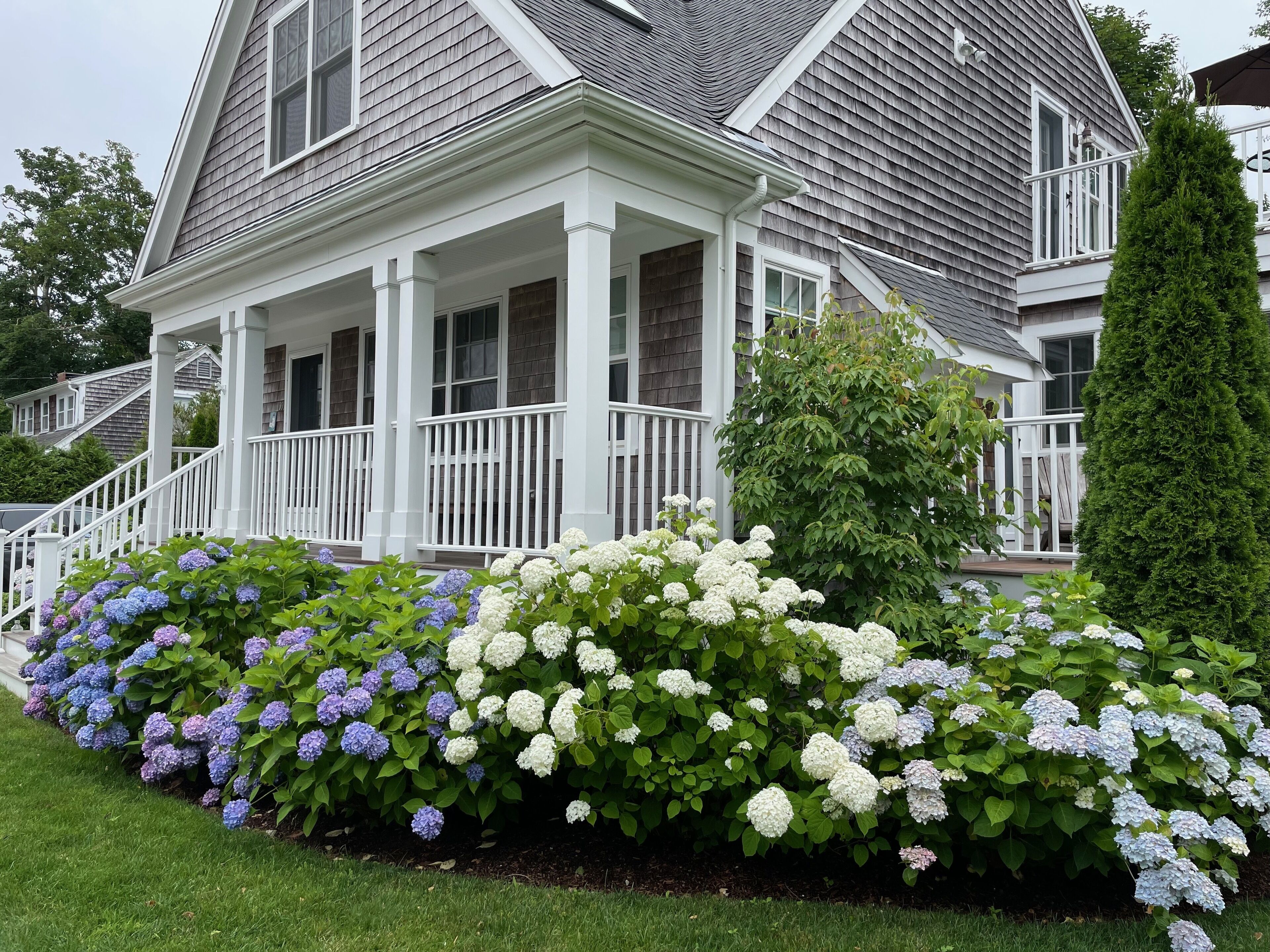 Charming 3 bedroom 2.5 bath sleeps 6 - Walk to Town & Oyster Pond