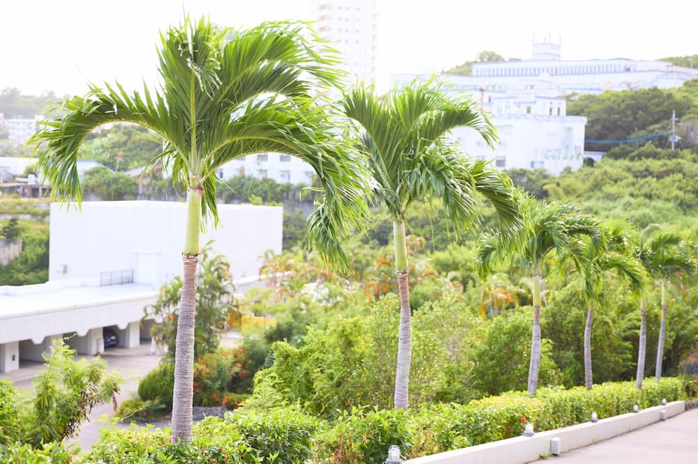 Rycom Family Resort Hotel